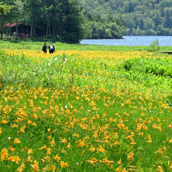 OZE NATIONAL PARK