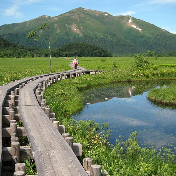 Mt.SHIBUTSU